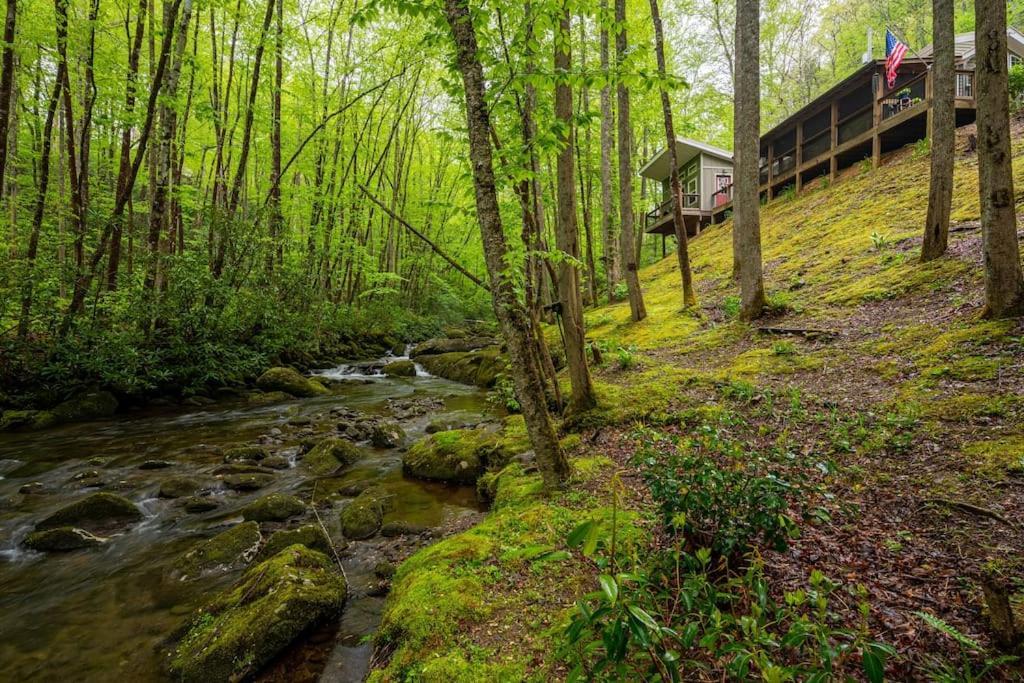 The Owl'S Perch Vila Robbinsville Exterior foto